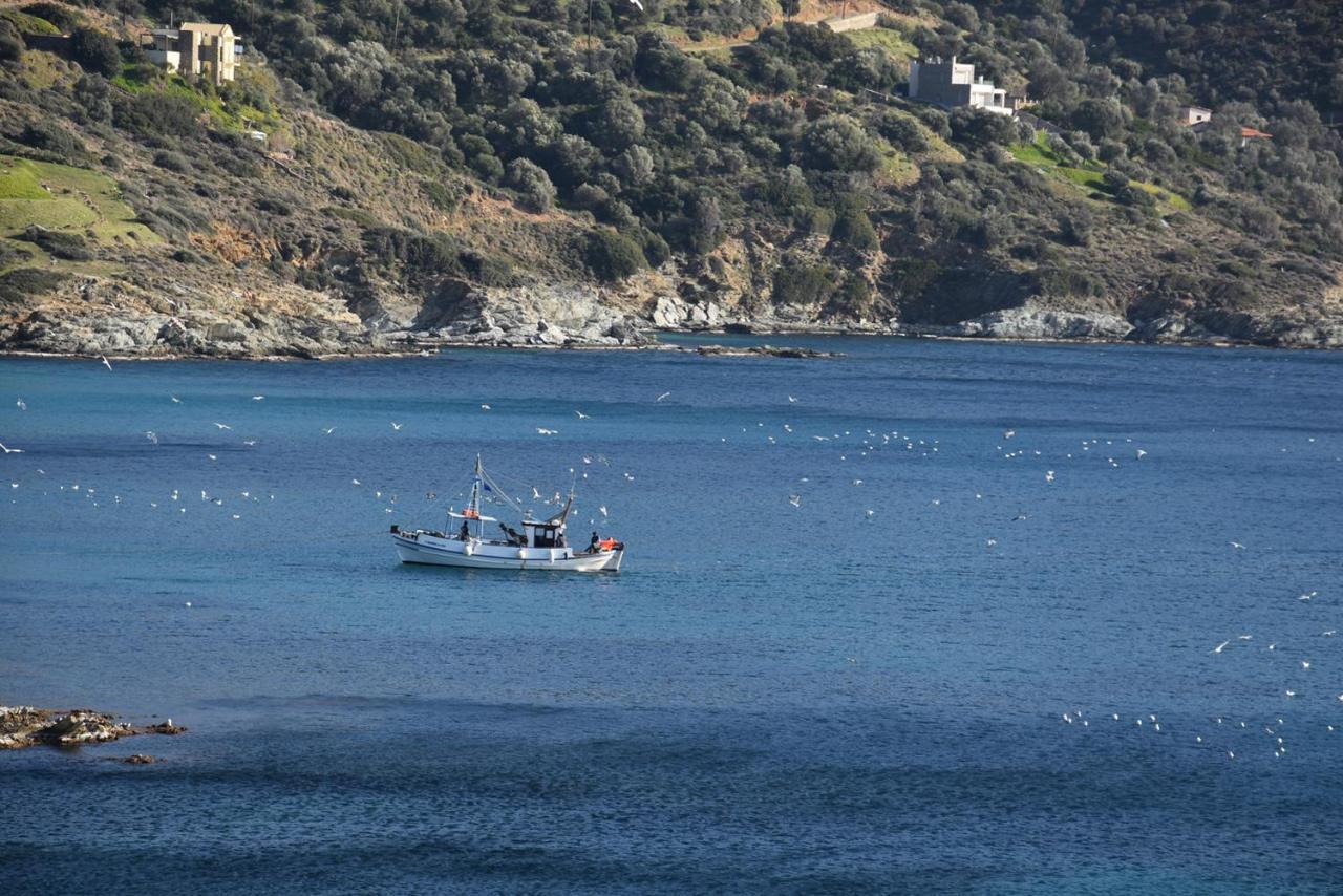 Likoremaview Marmari  Exteriér fotografie